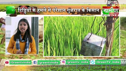 Kisan Bulletin :  Solar Power Park योजना से बढ़ेगी किसानों की आय | Grameen News