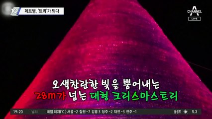 페트병, ‘트리’가 되다