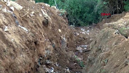 Adalar kaymakamlığı'ndan suç duyurusu