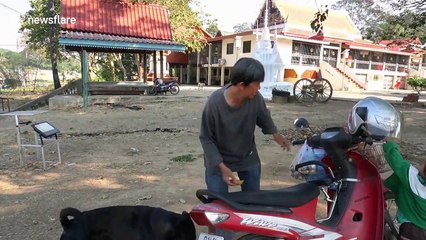 Thai river dries up leaving floating homes on riverbed