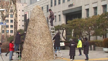 Activists build Christmas tree from cigarette butts in call for plastic ban