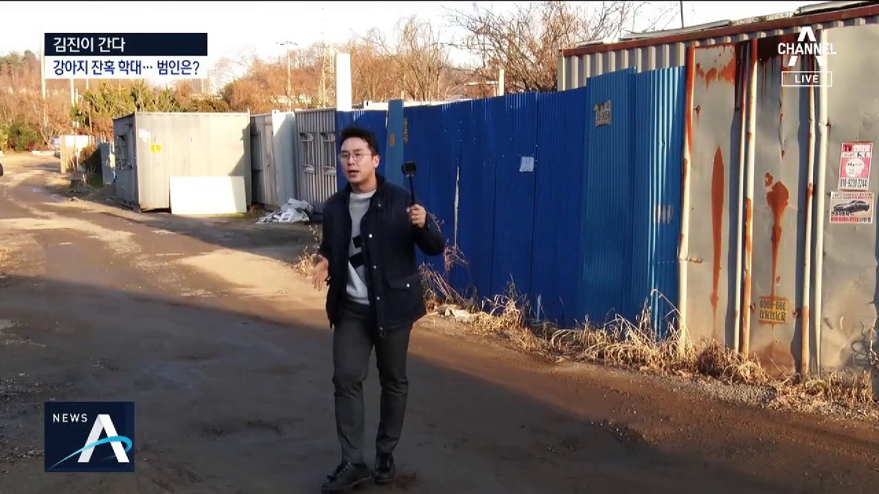[김진이 간다]경기 시흥서 강아지 연쇄 학대…범인은?