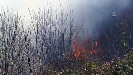 Trabzon'da örtü yangınları (4)