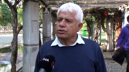 Kaleiçi yat limanına giren fok, çevredekilerin ilgi odağı oldu