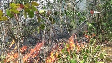 Giresun’da 4 noktada örtü yangınları devam ediyor