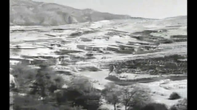 Pierre Tisserand - Nous aussi nous marchions