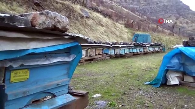 Kış uykusuna yatan bal arılarını soğuktan branda ve saçlarla koruyorlar