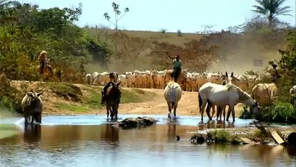 Trailer do documentário "Vale dos Esquecidos", de Maria Raduan