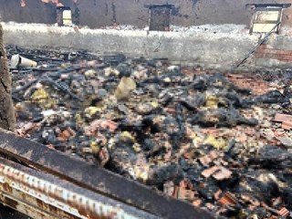 Konya'da 242 hayvanın telef olduğu ahır yangınında 1 milyon liradan fazla zarar meydana geldi