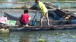 Locals battle to save catfish from river drying up in northern Thailand