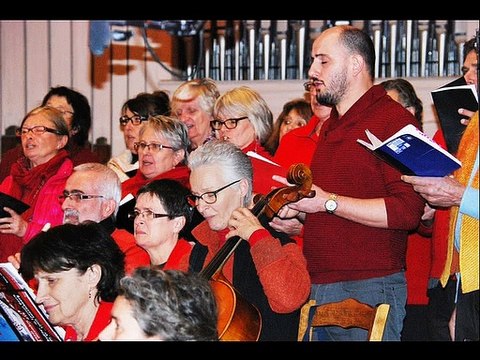 Les musiciens de Noé novel en concert