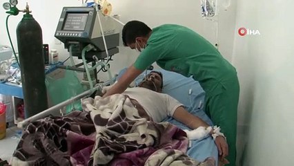 - Yemen’de domuz gribinden 8 kişi öldü