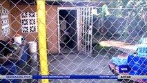 Ministerio de salud pide no bajar la guardia por casos de dengue - Nex Noticias