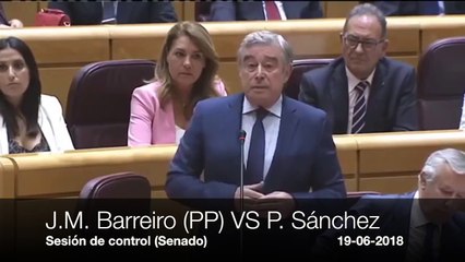 Palos a Pedro Sánchez en el Senado por ser un Gobierno cosmético en el que impera la incertidumbre