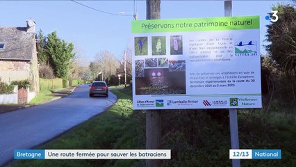Bretagne : une route fermée cet hiver pour laisser traverser les amphibiens