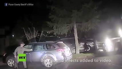 Policía rescata a un oso atrapado dentro de un coche en EE.UU.