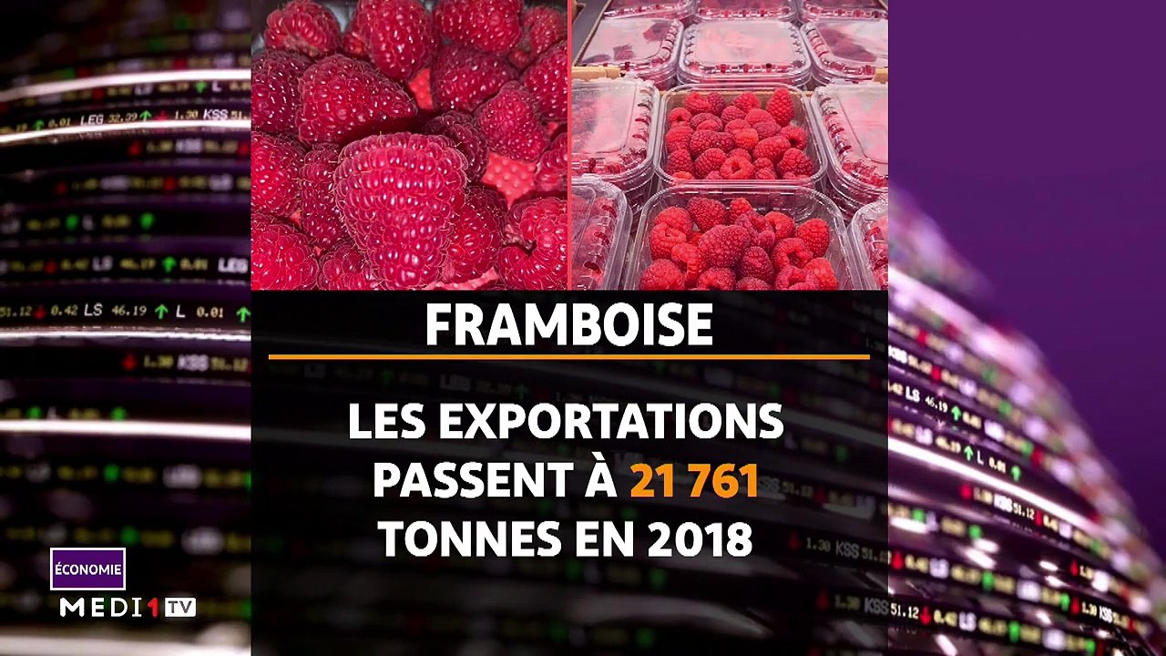 JT Eco - 24/12/2019
