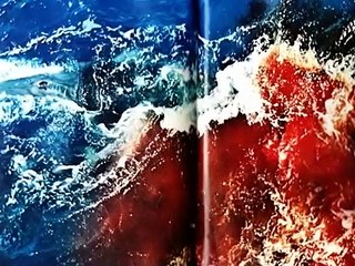 AQUI TODOS OS DIAS SAO DO CACADOR - mp4