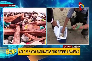Minsa intensifica acciones de inspección en playas de Lima