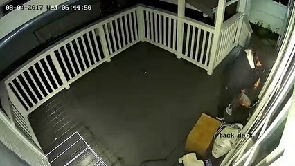 Esta mujer en pasamontañas secuestra a bebé de 11 días