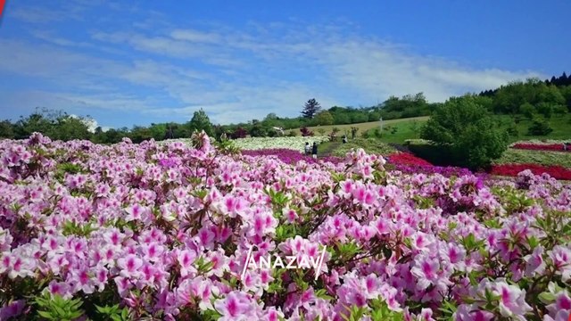 KANAZAWA Top 50 Tourist Places | Kanazawa Tourism | JAPAN