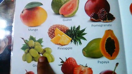 games of fruits and vegitables names