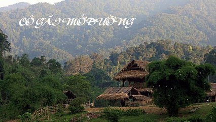 CÔ GÁI MỞ ĐƯỜNG I TOP COVER I BEATS