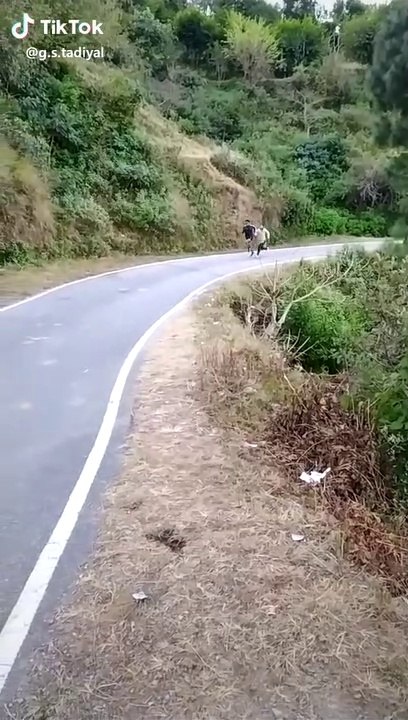Indian athlete running