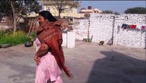 ਮੱਝ ਸੂ ਪਈ| Mr Sammy Naz | Rana Rangi | Tayi Surinder Kaur | New Funny Video