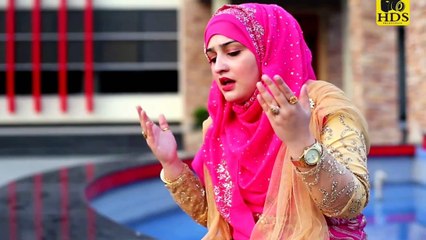 Teri khair howay pehre dara roze di jali chum lain de by | Niaz Gull | New Naat 2019