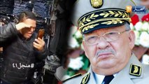 دموع و رثاء .. هكذا عبر الجزائريون عن مشاعرهم تجاه وفاة قائد أركان الجيش