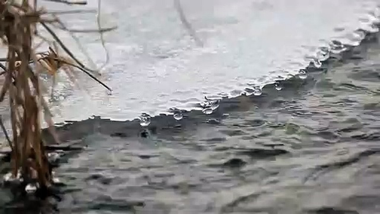 Ice video