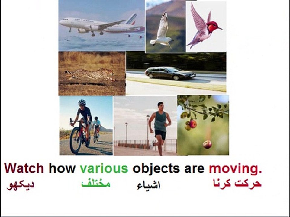 Physics in Urdu class 9 Unit 2.2, translatory motion