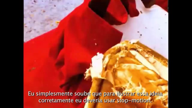 ANIMA MUNDI 20 anos - Entrevista PES