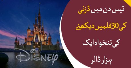 Thousand dollar salary for watching 30 Disney movies in 30 days...