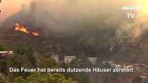 Waldbrand wütet in Chile