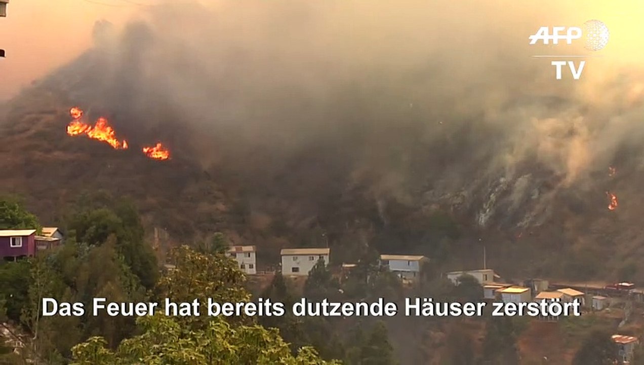 Waldbrand wütet in Chile