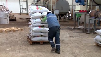 Şanlıurfa 40 milyon dolara kurulan tesiste organik gübre üretiliyor