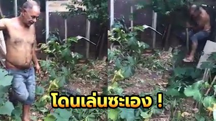 วกไปเข้าทางตันเลยลุง !! เมื่อลุงพยายามจะจับตัวเงินตัวทอง แต่.. โดนเล่นซะเอง