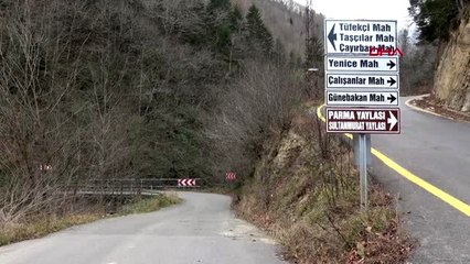 Karadeniz'de 5 ilde 71 noktada yangınlar sürüyor