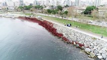 İstanbul'da sahil kesimi kızıl renge büründü