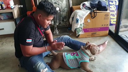 This dog loves massages from his owner