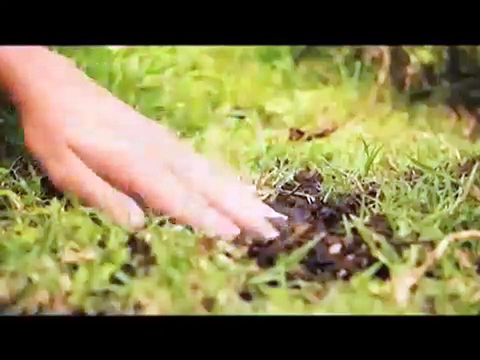 Senha Verde Trailer