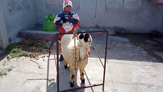 santa coming and distributing gifts |santa come home |kids meet santa | by cooking with samina bajwa