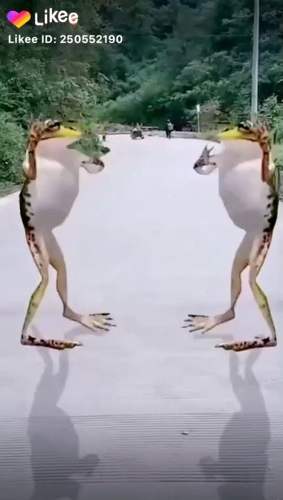 Tiktok New video
