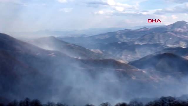 Trabzon karadeniz'de 3 ilde 10 noktada yangınlar sürüyor-7