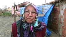 - Evi yanan yaşlı kadın çadırda yaşam mücadelesi veriyor