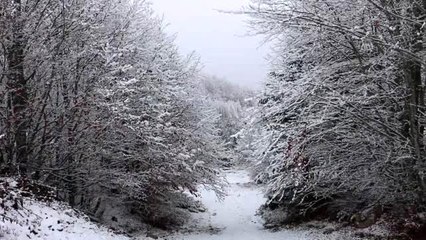 Kar Abant'ı beyaza bürüdü (2)