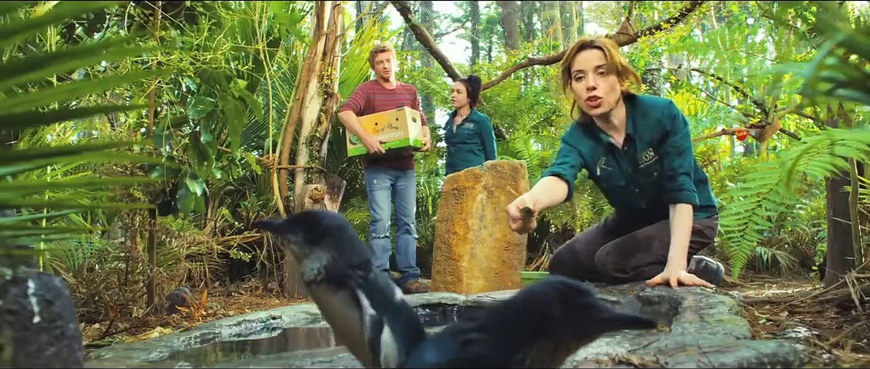 Love Birds Official Trailer