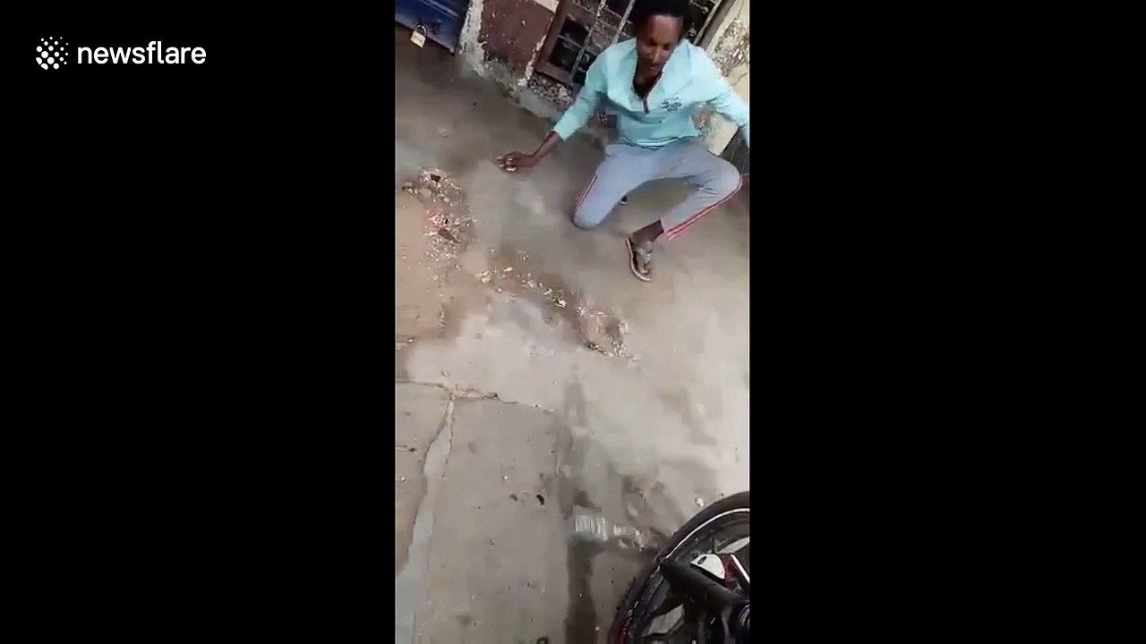 Moment cobra bites amateur snake rescuer after he tries to kiss it